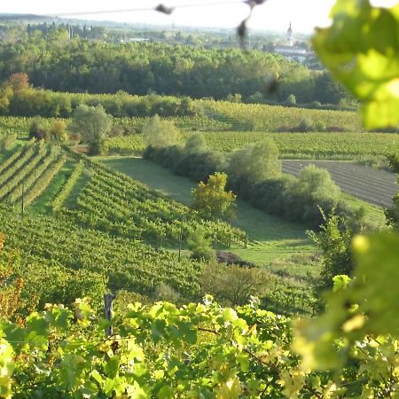 Capriva Del Friuli - Casa Roncus Villa Dış mekan fotoğraf