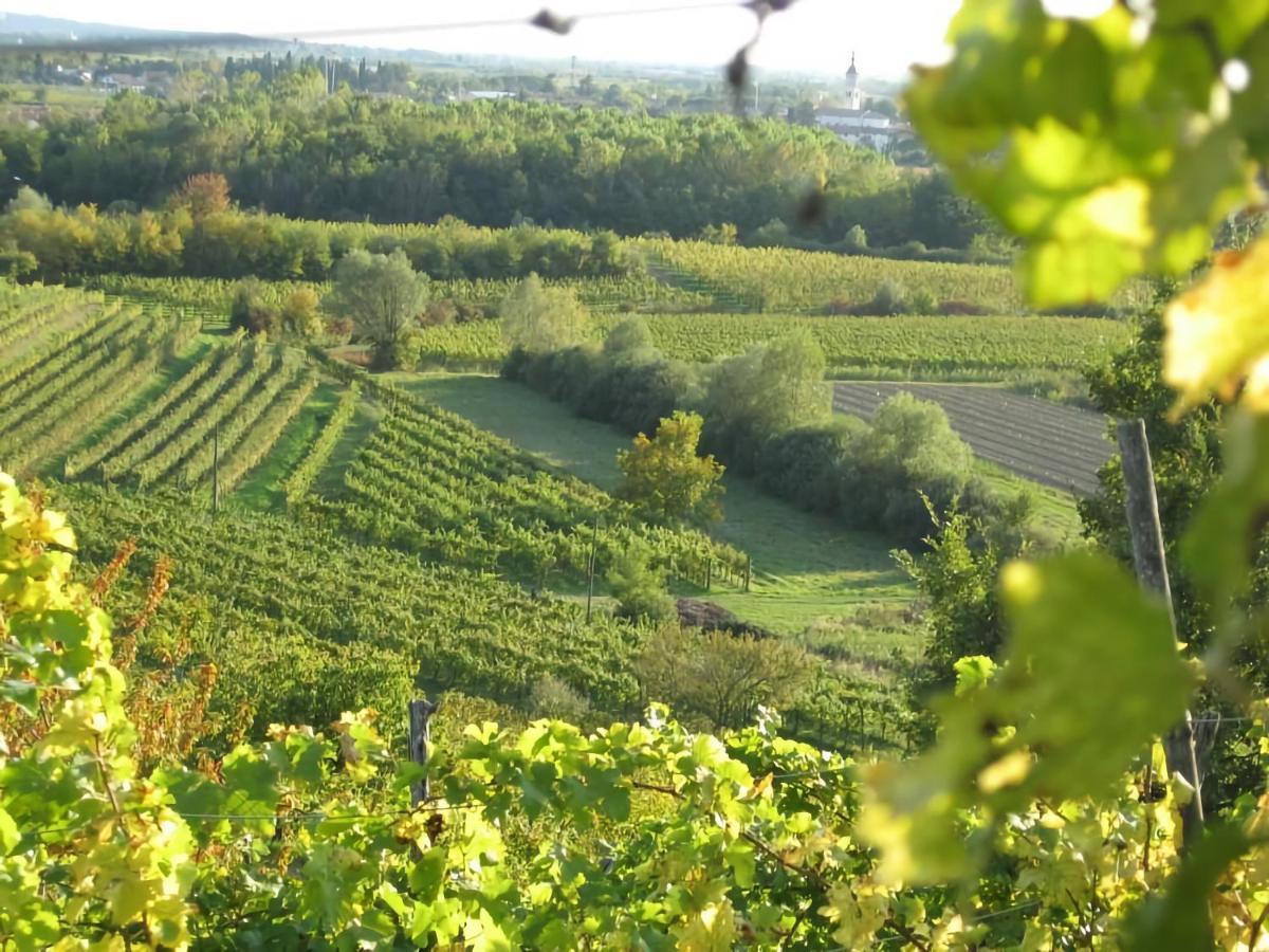 Capriva Del Friuli - Casa Roncus Villa Dış mekan fotoğraf